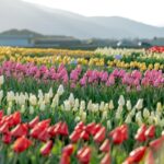 介護(療養棟)→通所リハ(デイケア)へ異動し1ヶ月!実質20日勤務の心境は?