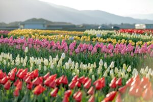 介護(療養棟)→通所リハ(デイケア)へ異動し1ヶ月!実質20日勤務の心境は?